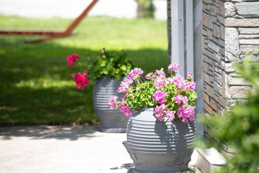 Nuestro Jardin Villa Sykia Chalkidikis Exterior photo